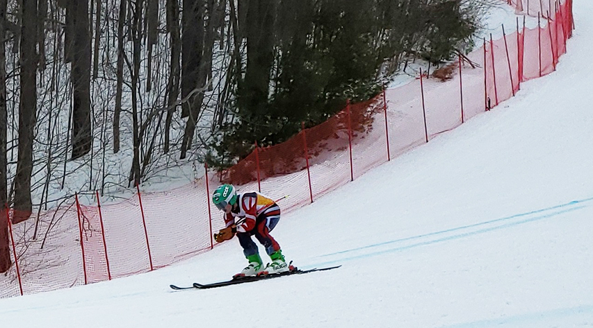 A skier races downhill